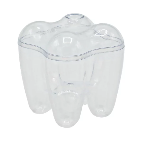 Clear Tooth Shape Box