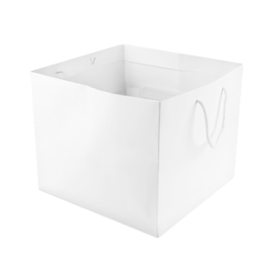 Shopping Bag